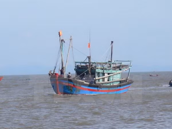 Rescatan a pescadores vietnamitas accidentados en el mar ảnh 1