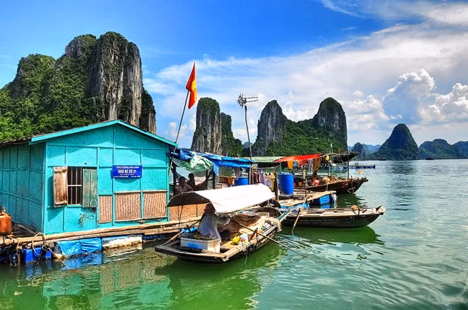 Despliegue piloto en Iniciativa de alianza Bahía Ha Long – Cat Ba ảnh 4