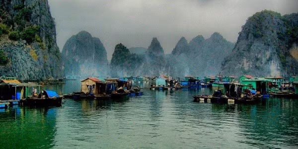 Despliegue piloto en Iniciativa de alianza Bahía Ha Long – Cat Ba ảnh 3
