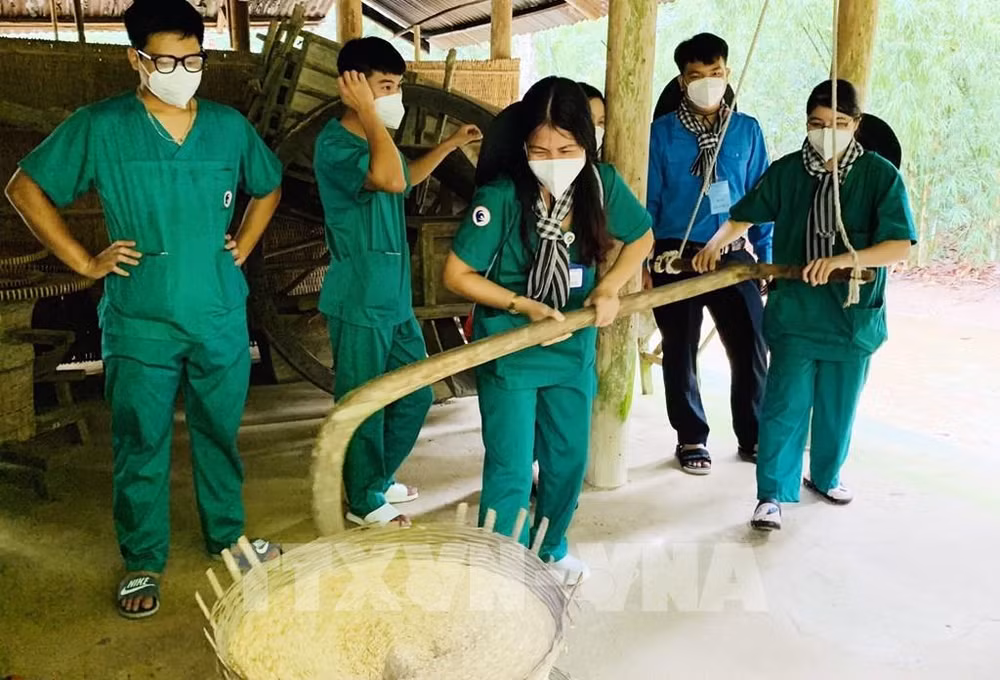Impulsan desarrollo de turismo seguro con recorridos a "zonas verdes" en Vietnam ảnh 2