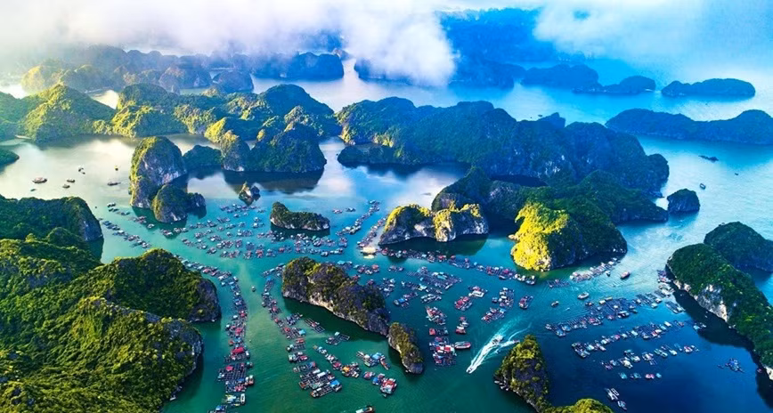 Vietnam refuerza la gestión de áreas marinas protegidas ảnh 1