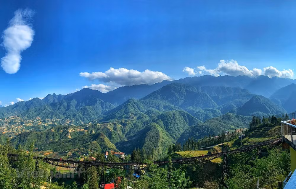 Vietnam promueve el valor de hierbas medicinales en el turismo ảnh 1