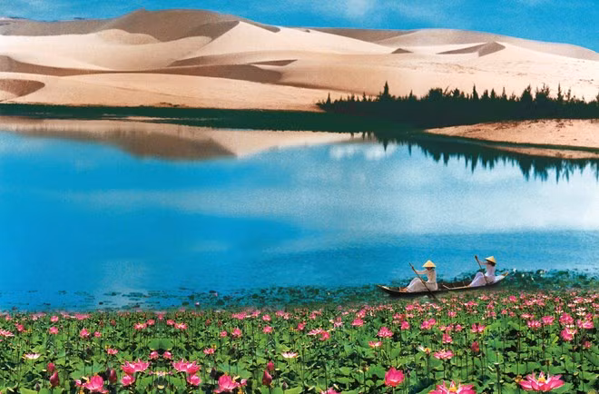 Investigan expertos internacionales turismo en Binh Thuan ảnh 1