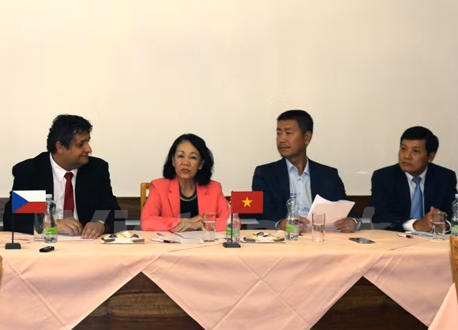 Dirigente partidista de Vietnam efectuó visita de trabajo a República Checa ảnh 1
