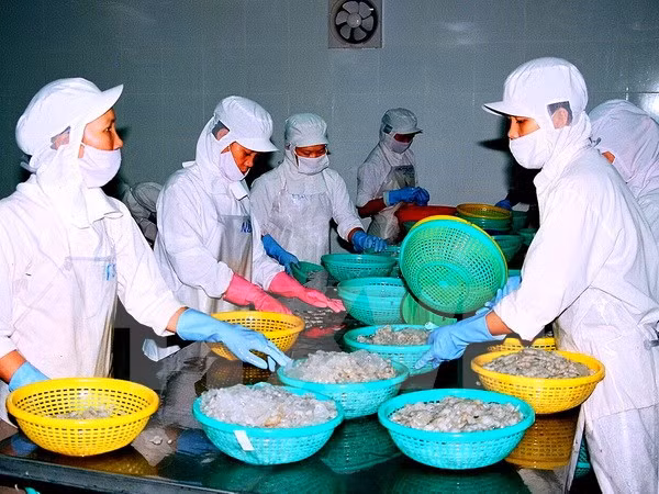 TLC Vietnam-UE: Listo para nuevas oportunidades ảnh 1