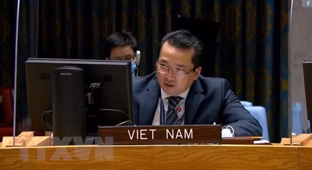 Vietnam apoya la salida de combatientes extranjeros y mercenarios de Libia ảnh 1