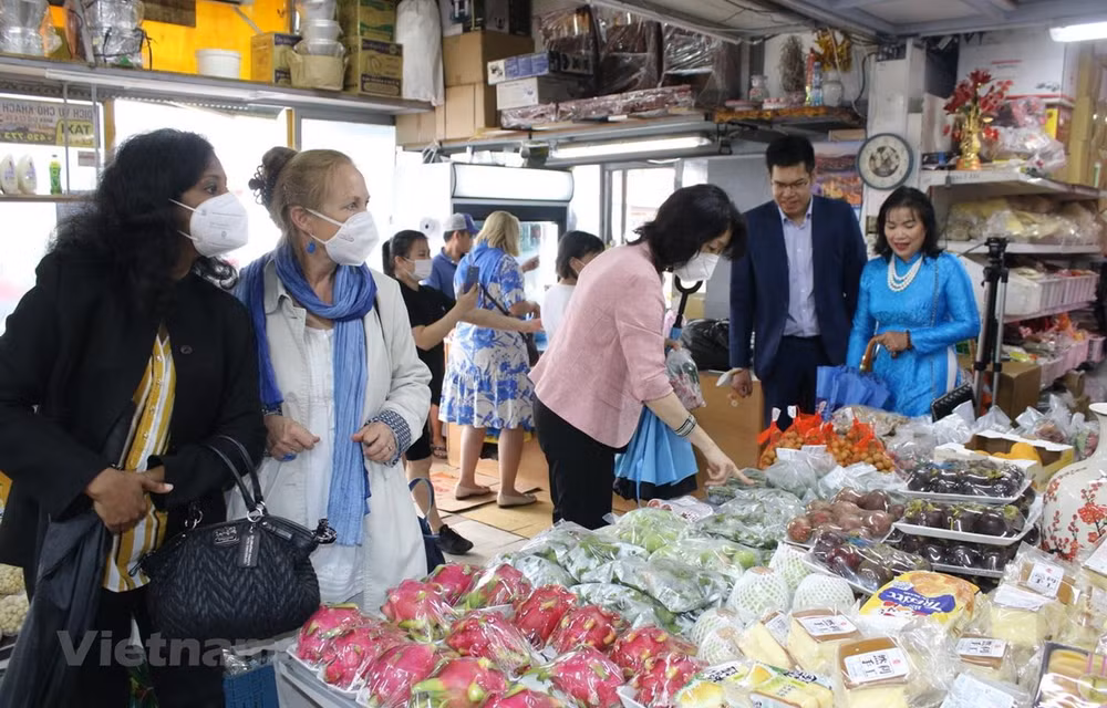 Cultura vietnamita impresiona al público checo ảnh 1