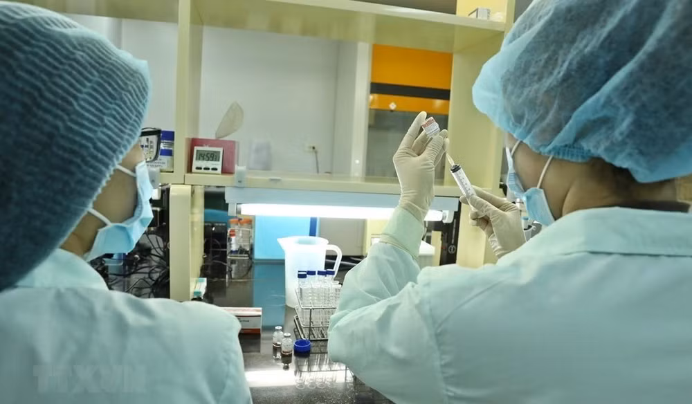 Vietnam solicita apoyo al BM para producción de vacunas contra COVID-19 ảnh 1