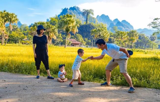 Celebrarán actividades culturales en ocasión del Día de la Familia de Vietnam ảnh 1 Celebrarán actividades culturales en ocasión del Día de la Familia de Vietnam ảnh 1