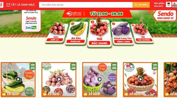 Venden productos agrícolas vietnamitas en plataforma de e-comercio Sendo ảnh 1