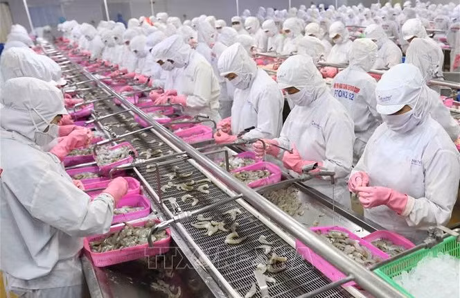 Crecen exportaciones de productos acuáticos vietnamitas entre enero y mayo ảnh 1