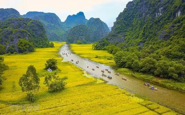 Vietnam necesita nuevos mecanismos para promover el desarrollo cultural ảnh 1