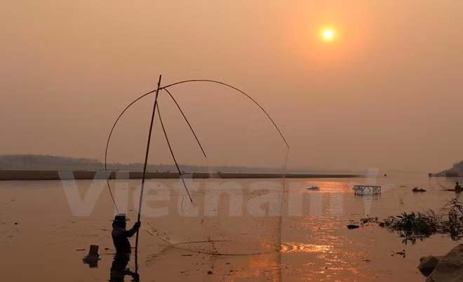 Desagüe desde río arriba no puede revertir salinización en Delta del Mekong ảnh 1