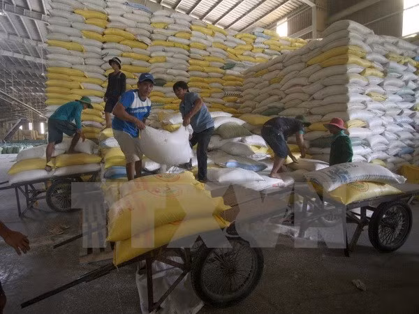 Arroz vietnamita por penetrar al mercado francés ảnh 1