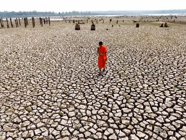 Tailandia: Sequía podría recortar 0,8 por ciento de PIB ảnh 1