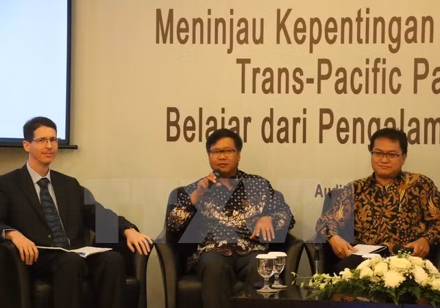 Vietnam comparte experiencias en TPP con Indonesia ảnh 1
