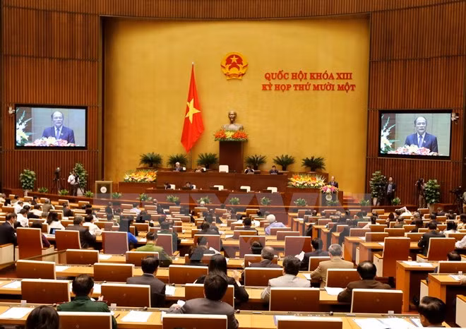 Parlamento vietnamita revisará hoy proyecto legal a favor de infantes ảnh 1