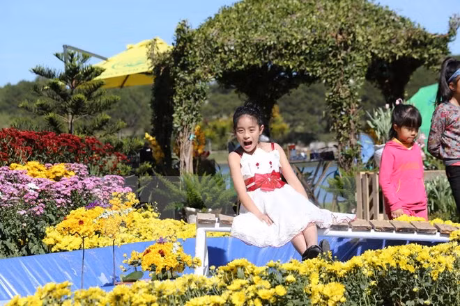 Da Lat atrae a 500 mil visitantes en Festival de Flores ảnh 1