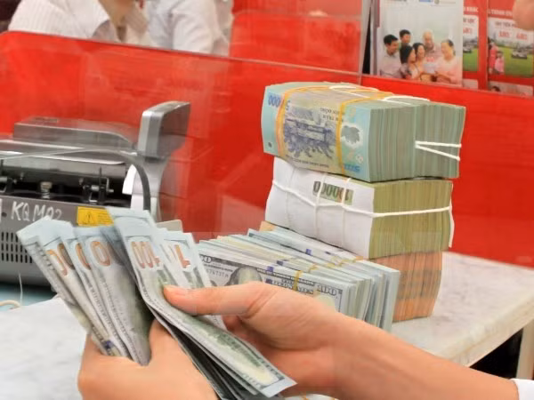 Banco Estatal publica tasa básica de cambio de divisas ảnh 1