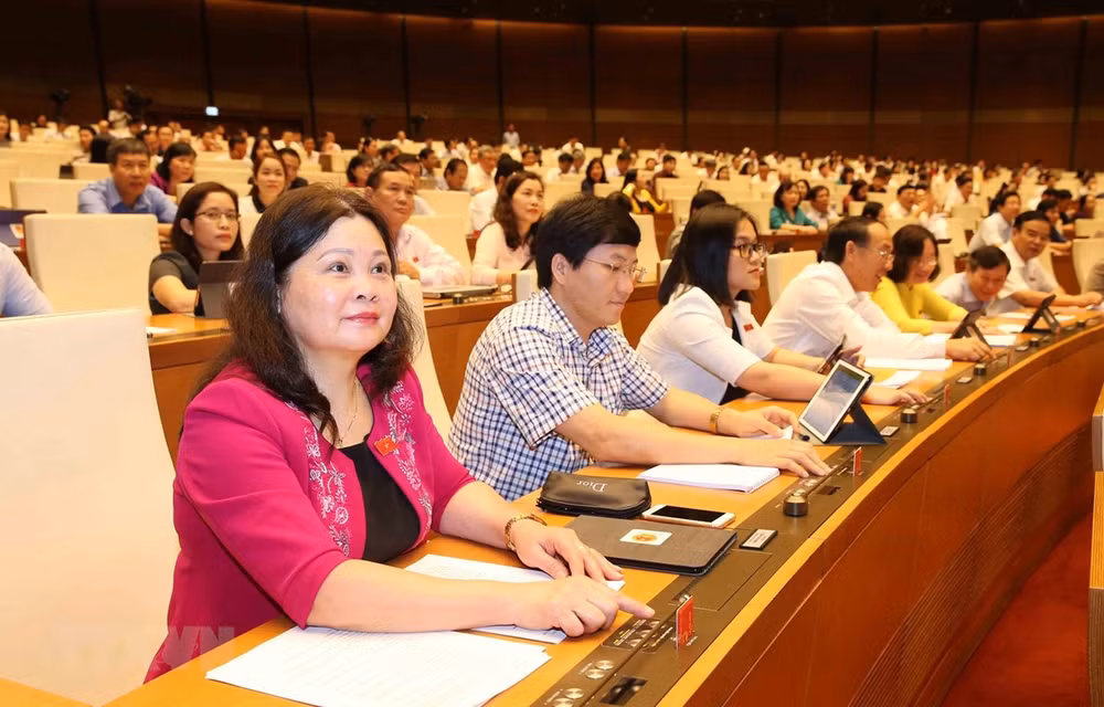 Presenta experto propuestas para perfeccionar organización del Gobierno de Vietnam ảnh 1