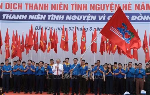 Inició en Vietnam la Campaña Jóvenes Voluntarios del Verano 2019 ảnh 1