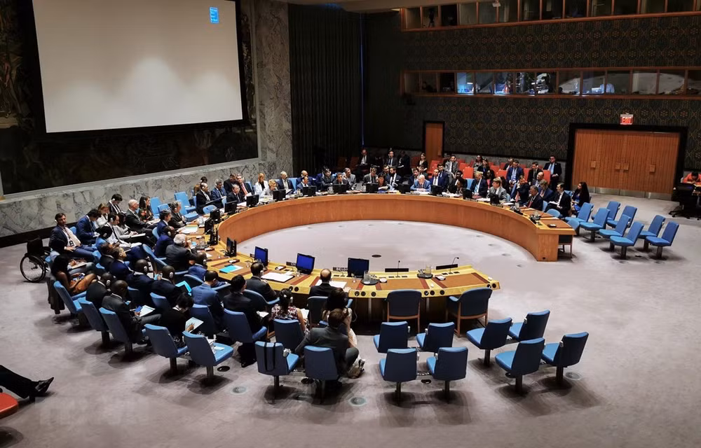 Confían en éxito de Vietnam como miembro del Consejo de Seguridad de la ONU ảnh 1