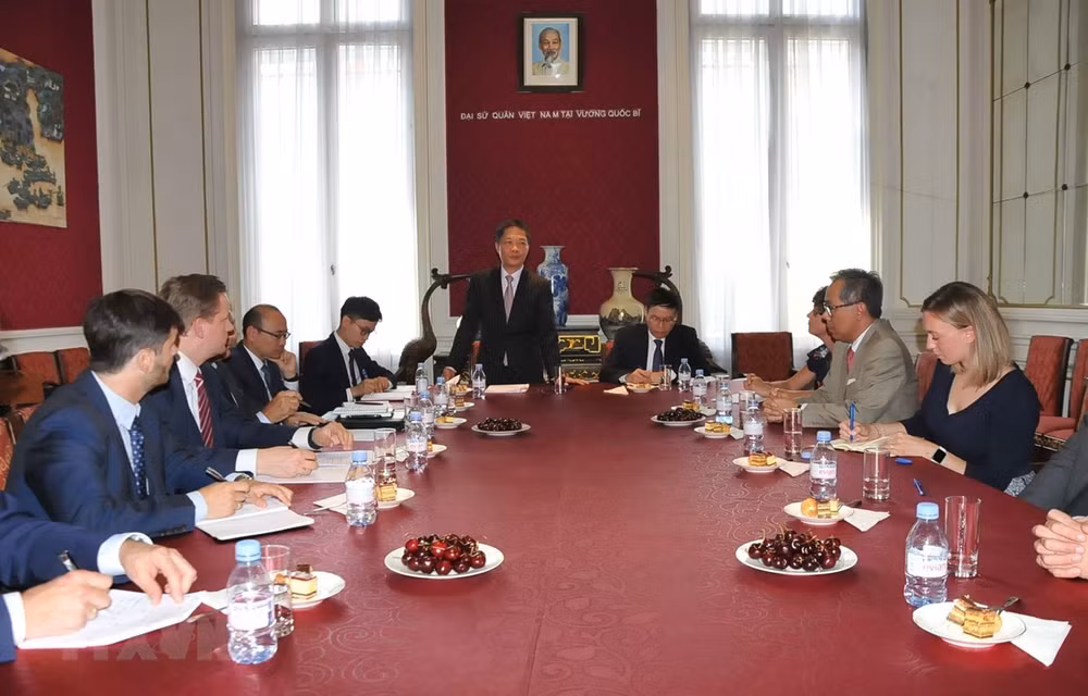 Aboga comisaria europea de Comercio por pronta firma de TLC con Vietnam ảnh 1