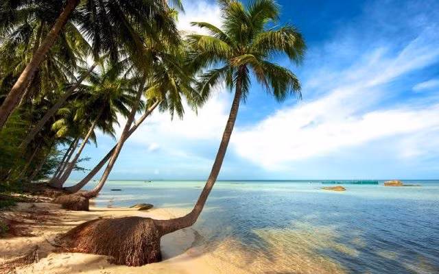 Capital e isla de Vietnam entre los 17 mejores lugares en Asia para visitar, según CNN ảnh 1