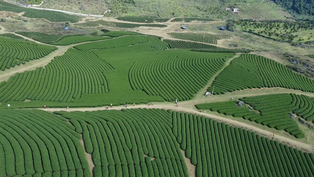 Desarrollo de las economía verde y circular 