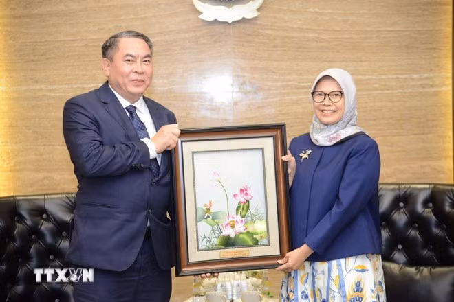 dua-quan-he-hop-tac-kiem-toan-viet-nam-indonesia-phat-trien-hieu-qua-21-2.jpg
