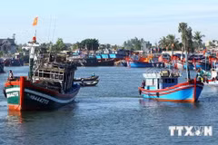 Vietnam se esfuerza por atraer inversiones en infraestructura portuaria