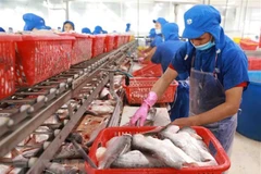 Pronostican excelentes oportunidades de inversión en Vietnam 