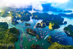 Introducen lemas para concienciar al público vietnamita sobre protección del medioambiente