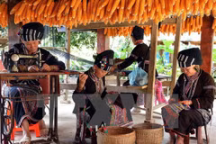 Lao Cai por ser mayor centro turístico de la región septentrional de Vietnam