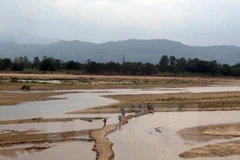 Vietnam y EE.UU. emiten declaración conjunta contra cambio climático