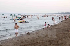 Provincia centrovietnamita de Nghe An protege recursos marinos