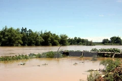 Inundaciones dejan ocho muertos en Vietnam