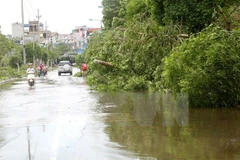Myanmar: Seis muertos y más de 420 mil afectados por severas inundaciones