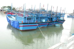 Aumentan flota pesquera de provincia centrovietnamita de Thanh Hoa