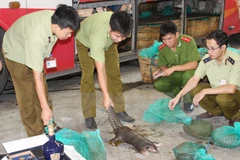 Vietnam celebrará conferencia internacional sobre comercio de animales salvajes