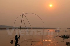 Desagüe desde río arriba no puede revertir salinización en Delta del Mekong