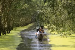 Vietnam trabaja por proteger Parque Nacional de Tram Chim