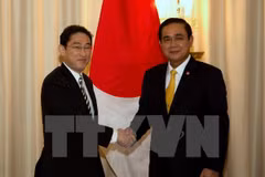 Japón anuncia ayuda de siete mil millones de dólares para la subregión de Mekong