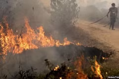 Indonesia declara estado de emergencia por incendios forestales