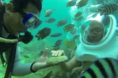 Inician tour de caminata submarina en Quang Nam