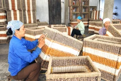 Hanoi invierte en desarrollo de zonas rurales