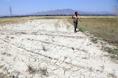 Cambio climático: Provincia vietnamita declara la situación de “catastrófica”