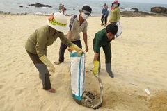 Asisten a pescadores en zona afectada por muerte masiva de peces
