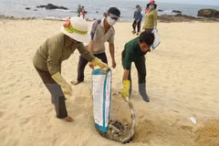 Asisten a pescadores en zona afectada por muerte masiva de peces