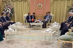 Vietnam esforzará por fortalecer asociación estratégica con Tailandia